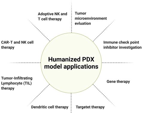 Humanized PDX model applications in immunotherapy | Download Scientific ...