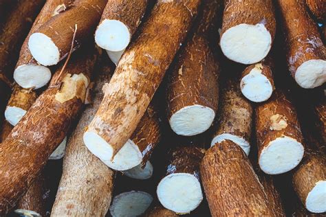 Chef’s Guide to Cassava | Cassava Root Vegetable | First Choice