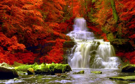 Forest Waterfall Wallpaper - WallpaperSafari