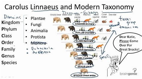 Linnaean System of Classification - Forestrypedia