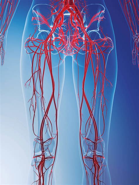 diagnostic-procedure | Community Vascular