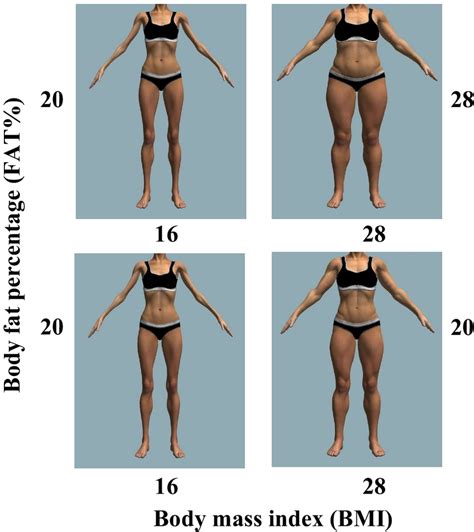 The female bodies represent different levels of BMI and Fat%. This ...