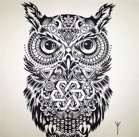 Black Owl Drawing