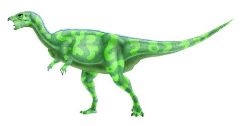 Lesothosaurus Pictures & Facts - The Dinosaur Database