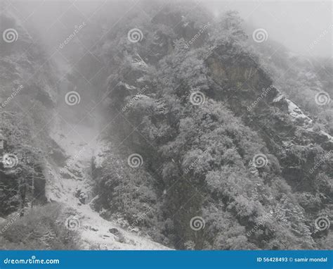 Snowfall himalaya stock image. Image of february, himalaya - 56428493