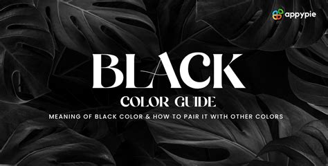 Black Color: A Guide on Meaning, Symbolisms & HEX Code of Black Color