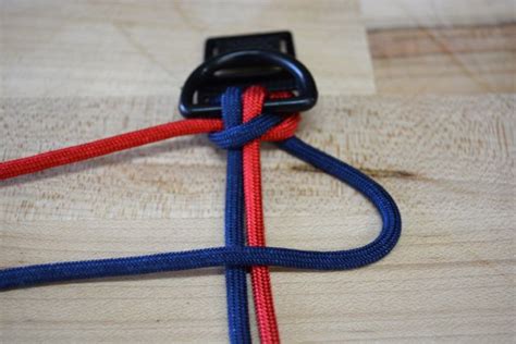 Paracord Dog Collar Tutorial | atelier-yuwa.ciao.jp