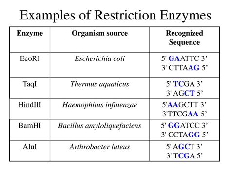 PPT - Restriction Enzymes PowerPoint Presentation, free download - ID ...