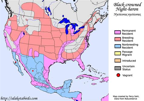 Yellow-headed Blackbird - Species Range Map