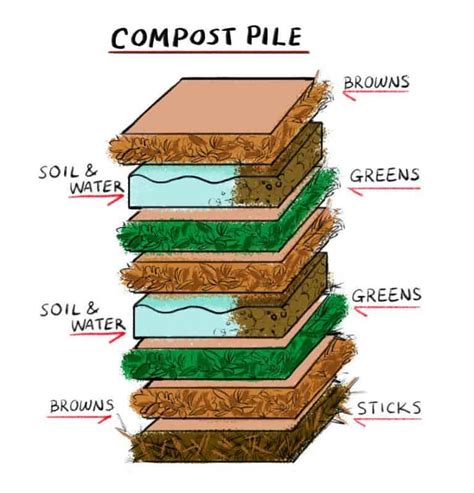 Why Does My Compost Bin Smell Bad? 5 Common Reasons – Yuzu Magazine