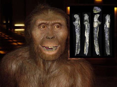 Australopithecus Fossils Found East of the Great Rift Valley | Ancient ...