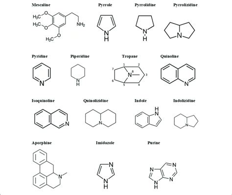 Alkaloid Structure