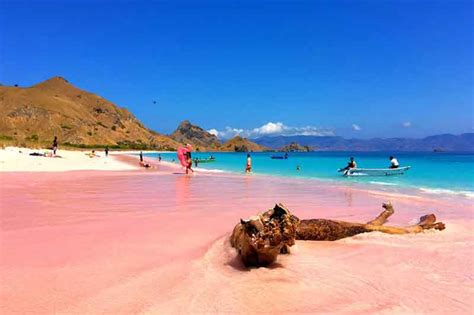 Keunikan Pantai Pink di Pulau Komodo - TRIPONNEWS.com