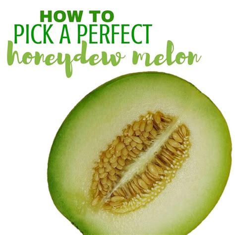 How To Pick A Honeydew Melon - Serendipity And Spice