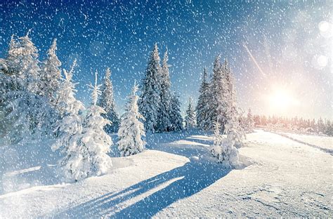 HD wallpaper: winter 4k high def, cold temperature, snow, snowing ...