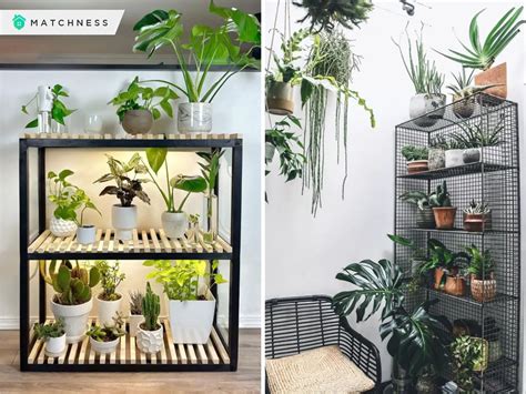 Shelf Choices for Your Indoor Plants Display - Matchness.com