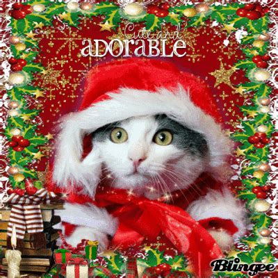 ADORABLE KITTEN.....by Piedad5007 | Christmas kitten, Christmas animals ...