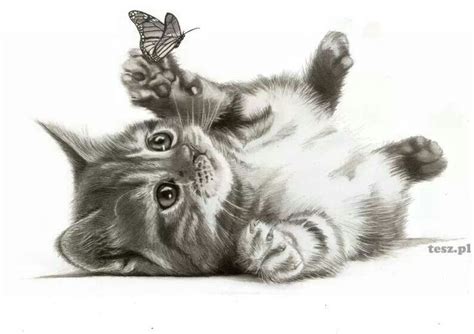 "Cat and Butterfly" pencil drawing | Pencil it. | Pinterest