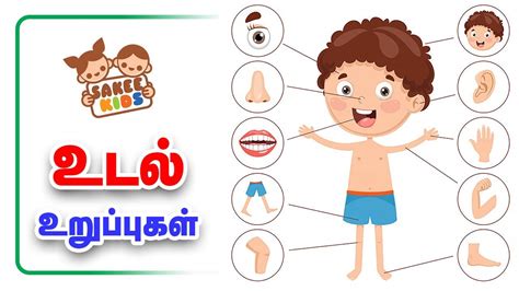 Body Parts Tamil / Learn Tamil through English - Lesson 11 - Parts of ...