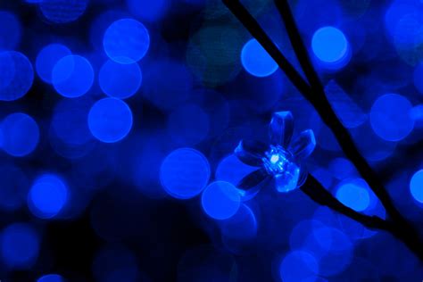 Blue Led Lights Free Stock Photo - Public Domain Pictures