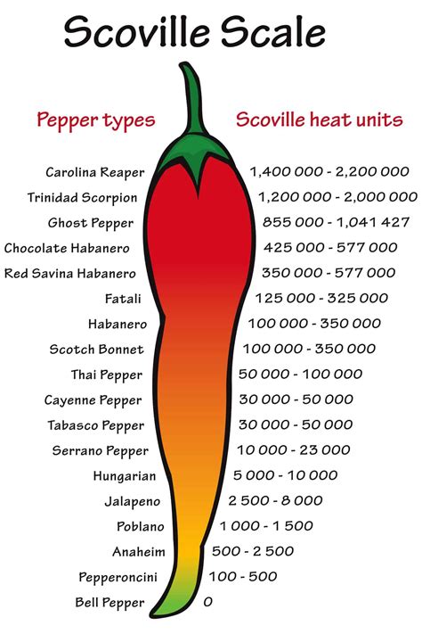 Anaheim Peppers (The Ultimate Guide)