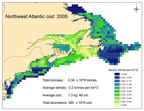 Atlantic Cod: Past and Present | Sea Around Us