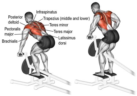 T-Bar Row Exercise Guide: Muscles Worked, How-To, Benefits, Variations ...