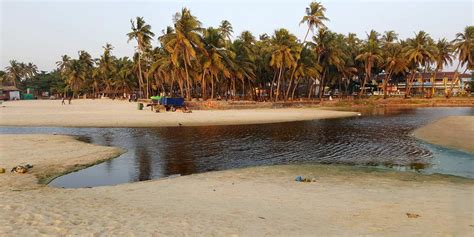 Colva Beach Goa, India (Location, Activities, Night Life, Images, Facts ...