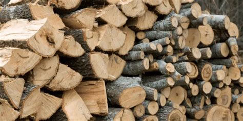 Rick Vs Cord Wood: Choosing the Best Firewood for Your Needs ...