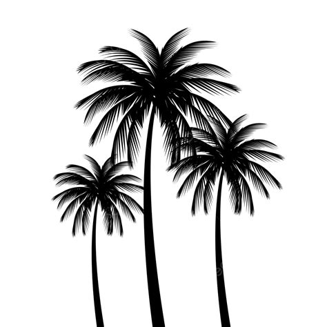 Small Palm Tree Silhouette PNG Transparent, Detailed Palm Tree Vector ...