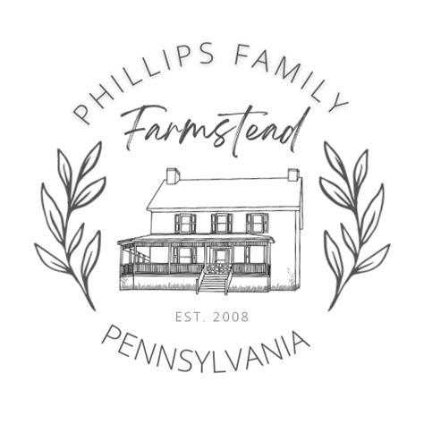 Katahdin Breeding Sheep | Phillips Family Farmstead