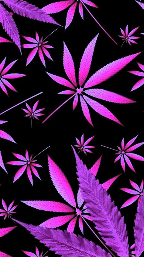 Hot Pink Weed Wallpapers on WallpaperDog