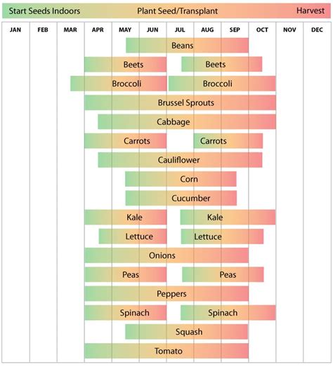 New York Planting Calendar