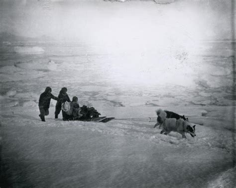 Sled Dogs Have Long Been Central to Life in the Arctic - Atlas Obscura