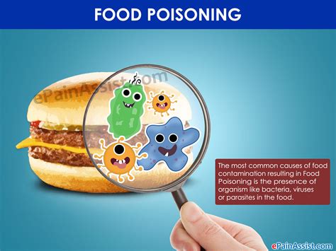 What you need to know about Food Poisoning – Keep calm and love Food ...