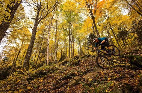 How to Find The World's Best Mountain Bike Trails | ReviewThis