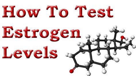 How To Test Estrogen Levels - How To Lower Estrogen Levels - YouTube