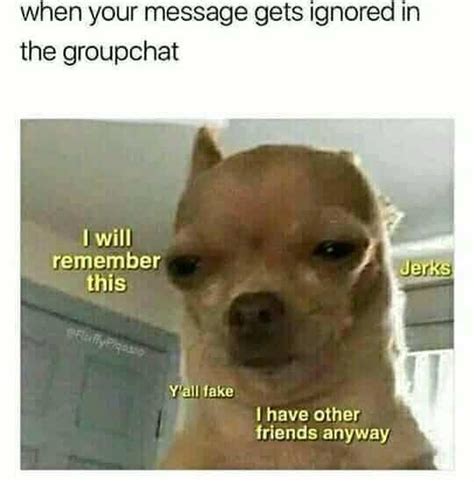 25 Hilarious Group Chat Memes You'll Find Too Familiar - SayingImages.com