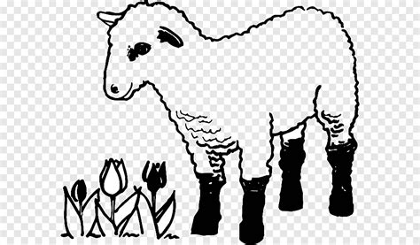 Sheep Colouring Pages Coloring book Lamb and mutton Goat, sheep, horse ...