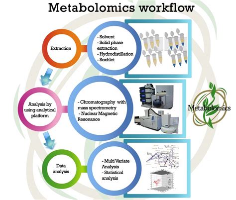 Metabolomics | Institut Biologi Sistem