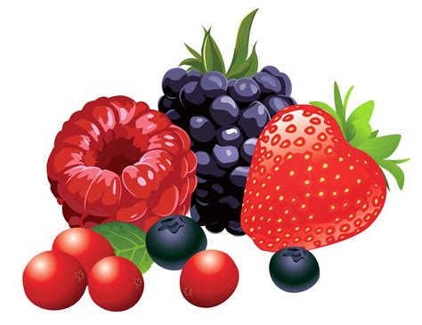 Fruit Clipart Png Clip Art Library | Images and Photos finder