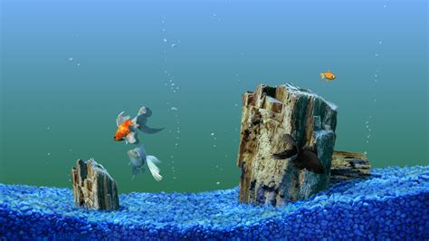 22+ Aquarium Backgrounds, Wallpapers, Images, Pictures | Design Trends ...