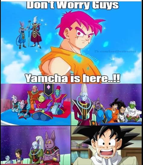 Sometimes I feel bad for Yamcha | Anime funny moments, Anime funny ...