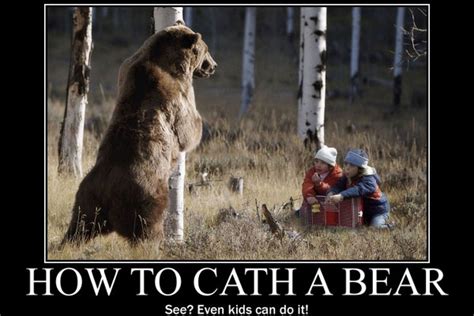 Funny Quotes About Bears. QuotesGram