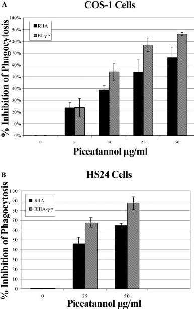 Effect of the Syk kinase inhibitor piceatannol on Fc ␥ R-mediated ...