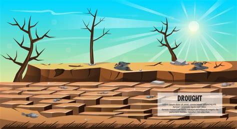 Soil Erosion Illustrations, Royalty-Free Vector Graphics & Clip Art ...