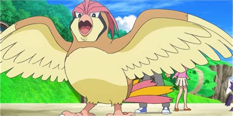 What Level Does Pidgeotto Evolve At