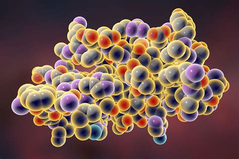 Macromolecule Definition