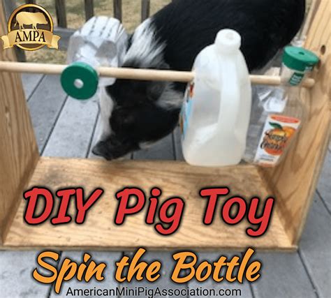 DIY Pig Toy - Treat Dispensing Toy - Mini Pig Spin the Bottle Game. An ...