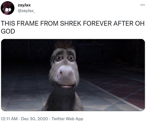 THIS FRAME FROM SHREK FOREVER AFTER OH GOD | Staring Donkey | Know Your ...